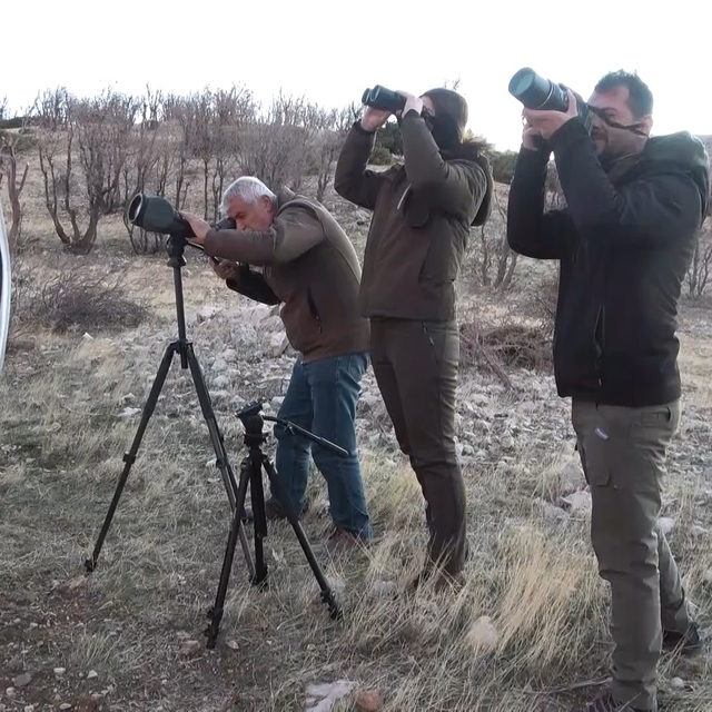 Adıyaman'da yaban keçileri tek tek sayılıyor
Adıyaman'da, yaban keçisi enva...