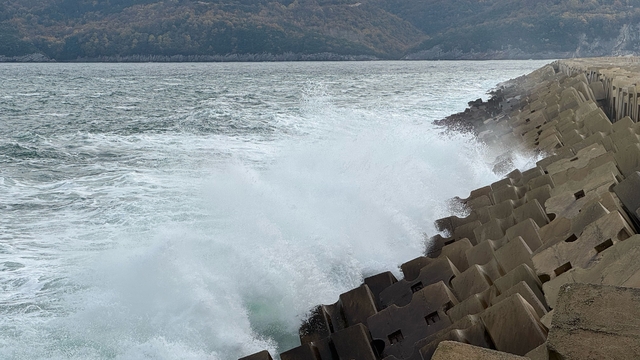 Bartın'da şiddetli rüzgar etkili oldu