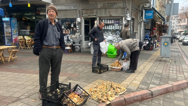 Tavşanlı'da Aralık ayı sonunda da Melki mantarı bereketi
Sezon başında kilogramı 400 TL'den satılan mantar, şimdilerde 100 ile 150 TL arasında alıcı buluyor