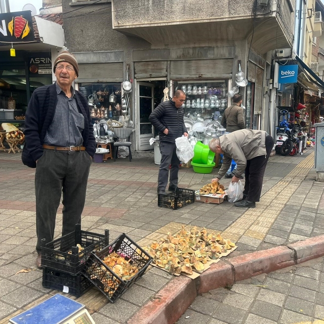 Tavşanlı'da Aralık ayı sonunda da Melki mantarı bereketi
Sezon başında kilo...