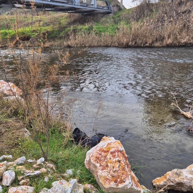 Ege Ekspresi'nin çarptığı yaya hayatını kaybetti