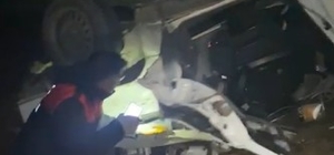 Köpekten kaçmak isterken takla attı