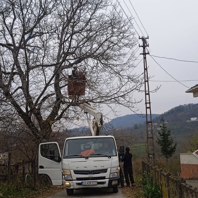 Ordu'da elektrik tellerine temas eden ağaç dalları kesildi
