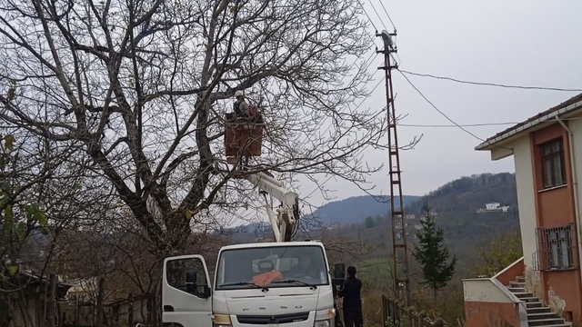 Ordu'da elektrik tellerine temas eden ağaç dalları kesildi