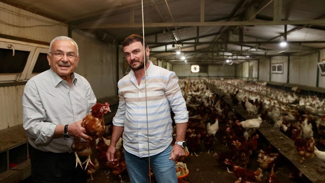 Ordu'da yumurta üretimi, verilen destekler ile zarardan kara dönüştü: İlin ekonomisine yıllık 500 milyon lira gelir
Büyükşehir Belediye Başkanı Dr. Mehmet Hilmi Güler'in destekleriyle ilde yumurta üretimi artıyor, üreticiler geçen yıllarda ettikleri zararı kara dönüştürüyor