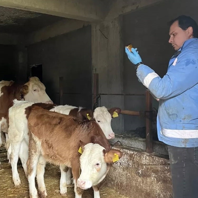 Yığılca'da hayvan sağlığı çalışmaları sürüyor