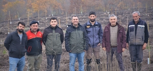 Manyas'ta orman köylüsüne gelir getirici ağaçlandırma