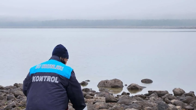 Kaçak ağa takılan 105 sazan canlı kurtarıldı