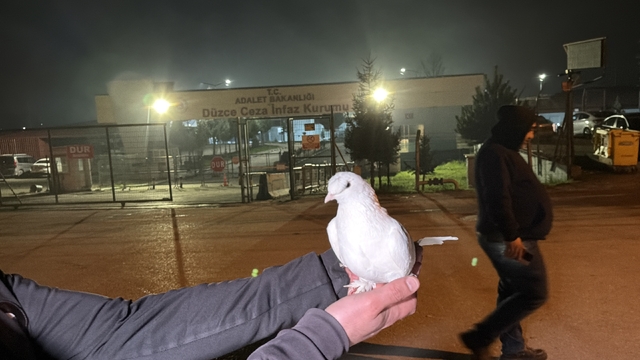 Tahliyeleri beyaz güvercinle karşıladılar
Düzce'de 326 mahkum tahliye oldu