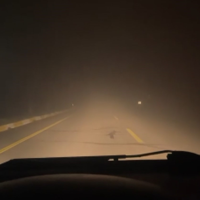 Sivas'ta yoğun sis hava ulaşımını olumsuz etkiledi