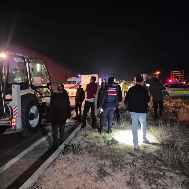 Malatya'da milyonluk yarış tayları çiftlikten kaçtı; 8'i öldü, bazıları kay...