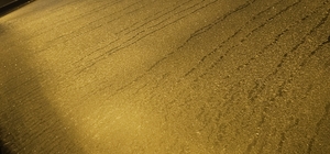 Elazığ'da araçların camları buz tuttu