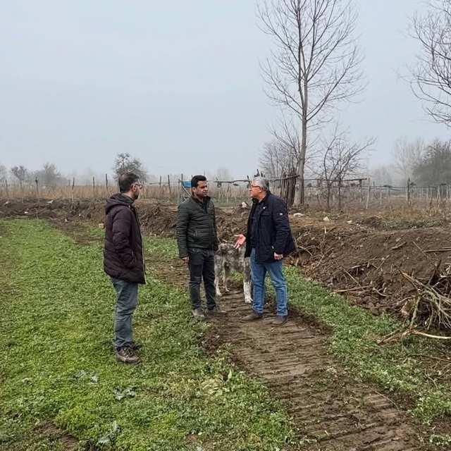 Bilecik'te taşkın riskine karşı dere ıslahı