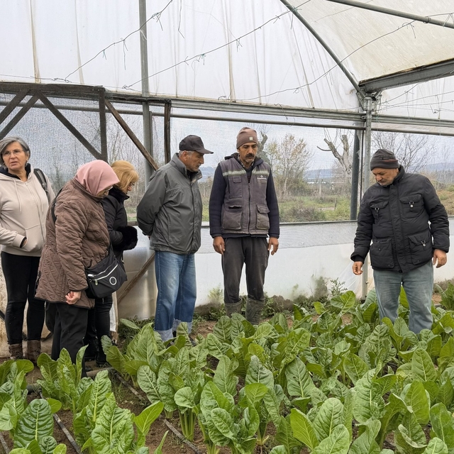 "Saygınlar Kulübü" üyeleri serada hasat yaptı