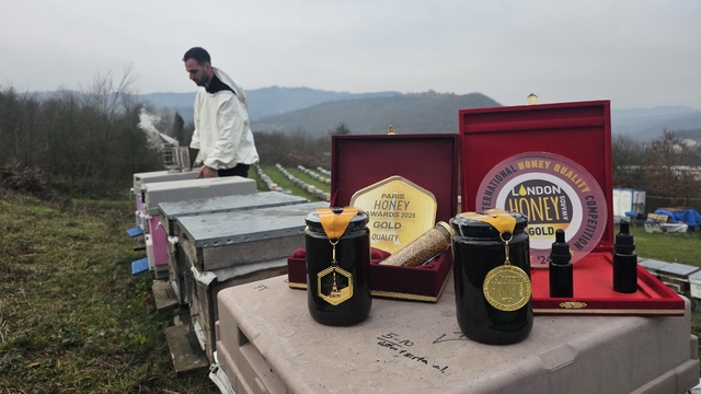 Dededen gelen arıcılığı profesyonelleştirdi, ürettiği bal dünyada zirveye çıktı
Zonguldak kestane balı Londra ve Paris'ten altınla döndü
