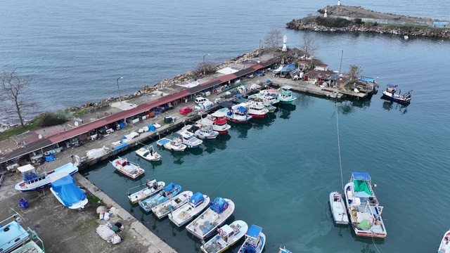 Düzce ve Bartın'da balıkçılar bu sezon av miktarında umduğunu bulamadı