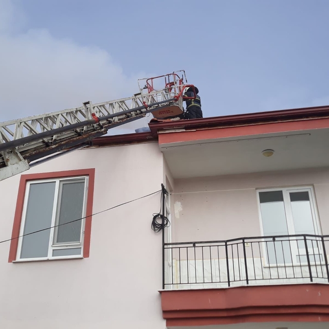 Bucak'ta bacada yangın paniği