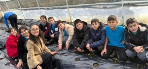 Gördes'te çilekler engelliler için yetişecek
Gördes'te "Sevgimizi Seramızda...