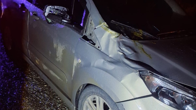 Yalova'da hafif ticari araç, büyükbaş hayvana çarptı