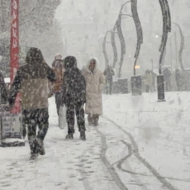 Bolu Valiliğinden "yoğun kar" uyarısı: 20 santimi aşacak