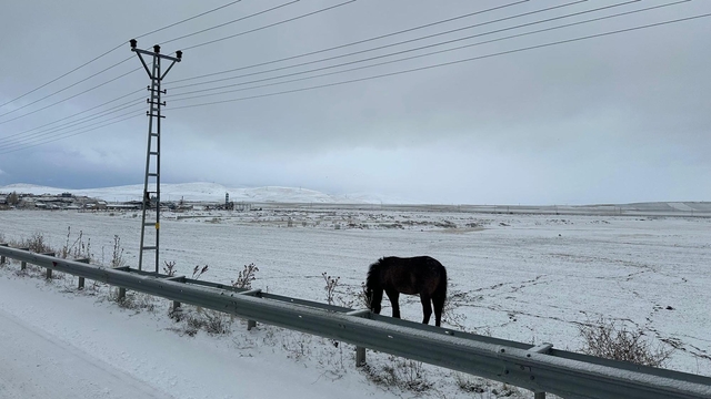 Ağrı'da kar yağışı