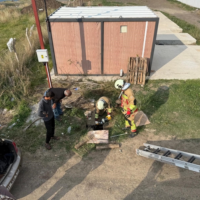 Kuyuya düşen koyunu itfaiye kurtardı