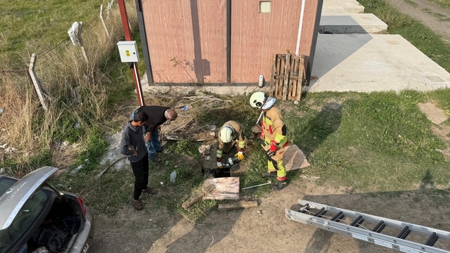 Kuyuya düşen koyunu itfaiye kurtardı