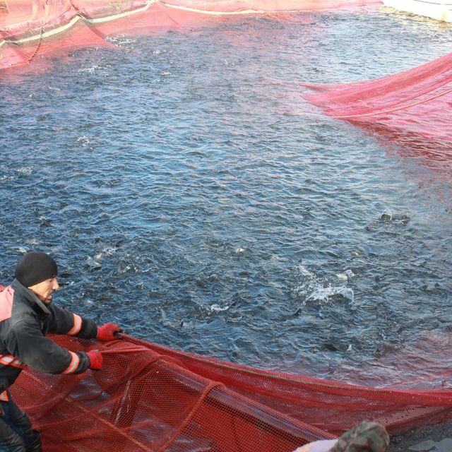 Bozkırın ortasında yetişti, Rusya ve Japonya yolcusu oldu