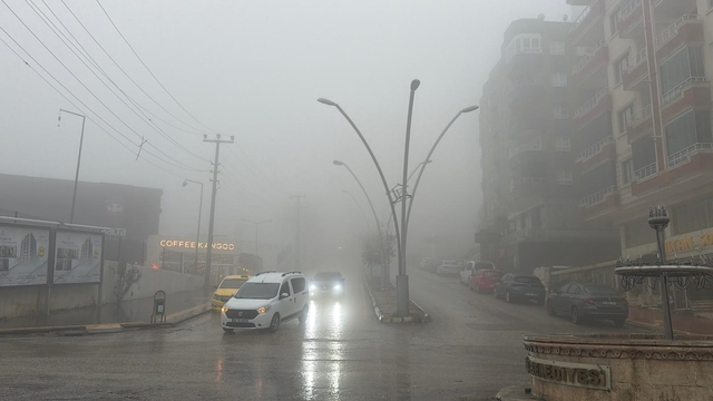 Mardin'de yağmur ve sis etkili oldu