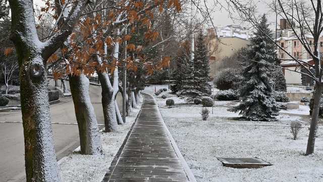 Eskişehir güne kar sürpriziyle uyandı
Beyaza bürünen Eskişehir'de kartpostallık manzaralar ortaya çıktı
