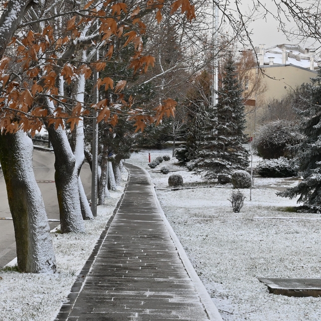 Eskişehir güne kar sürpriziyle uyandı
Beyaza bürünen Eskişehir'de kartposta...