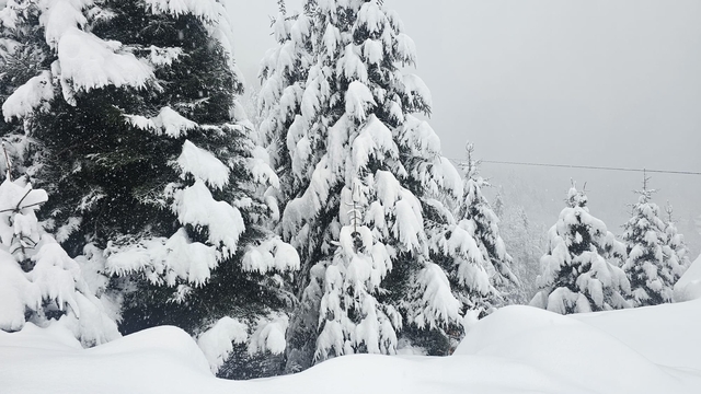 Rize'nin yüksekleri beyaza büründü