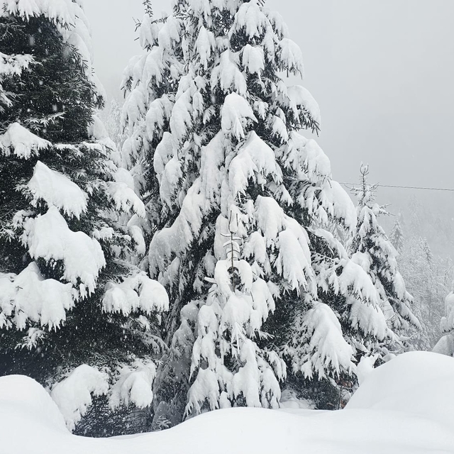 Rize'nin yüksekleri beyaza büründü