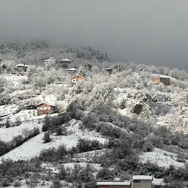 Bartın'da kar yağışı nedeniyle 5 köy yolu ulaşıma kapandı