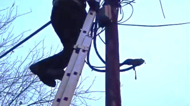 Direkte mahsur kalan kedi itfaiye tarafından indirildi