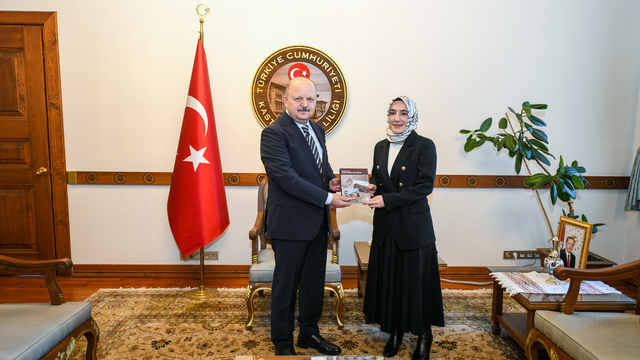 Akademisyenlerden Vali Dallı'ya ziyaret