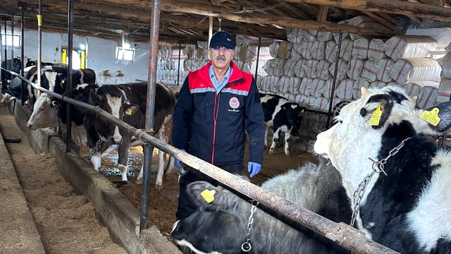 Beyşehir'de hayvancılık faaliyetleri yakın takipte