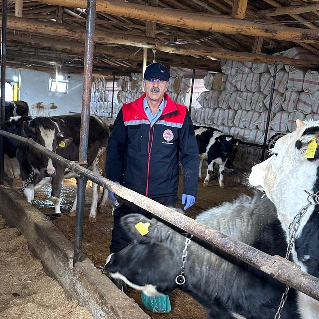 Beyşehir'de hayvancılık faaliyetleri yakın takipte