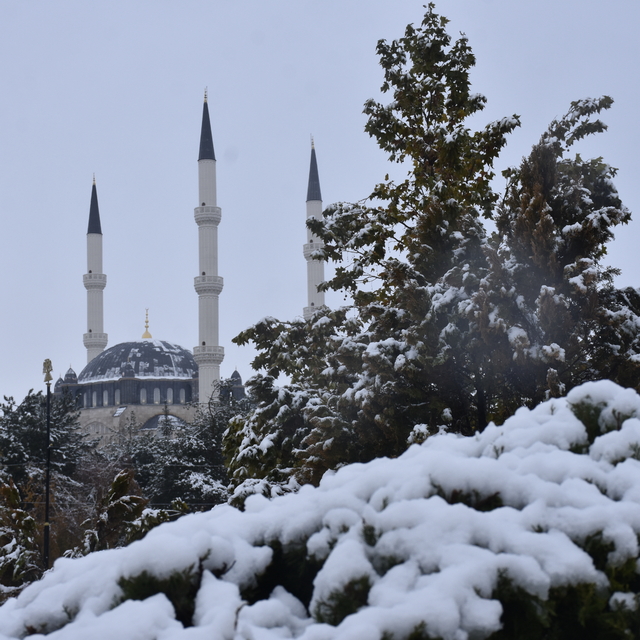 Sivas'ta kar yağışı (2)