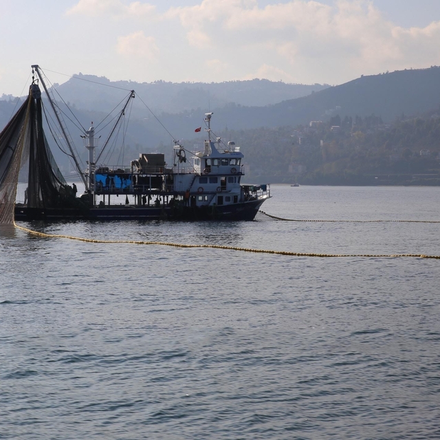 İl Tarımdan balıkçılara önemli uyarı
Dil ve pisi balığı avcılığına geçici y...