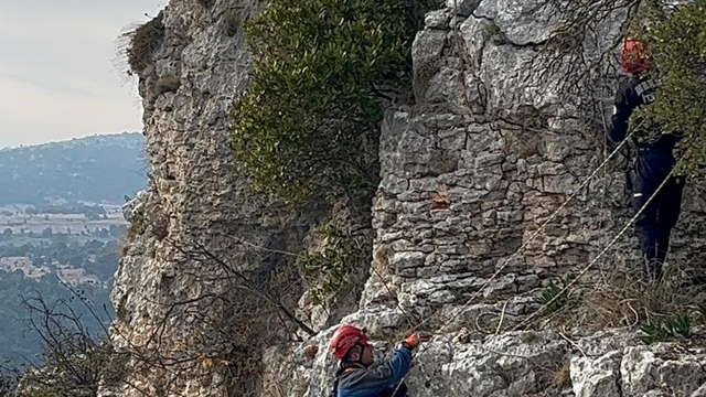 Mersin'de uçurumdaki kayalıklarda mahsur kalan 2 keçi kurtarıldı