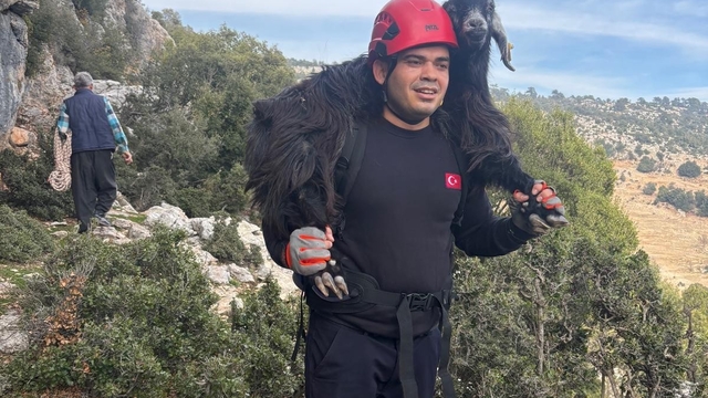 Mersin'de kayalıklarda mahsur kalan 2 keçi itfaiye ekiplerince kurtarıldı