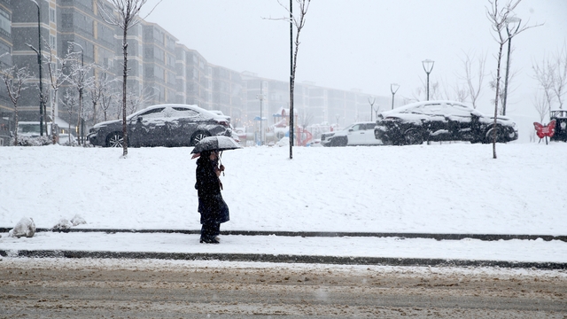 Muş'ta kar ulaşımı aksattı