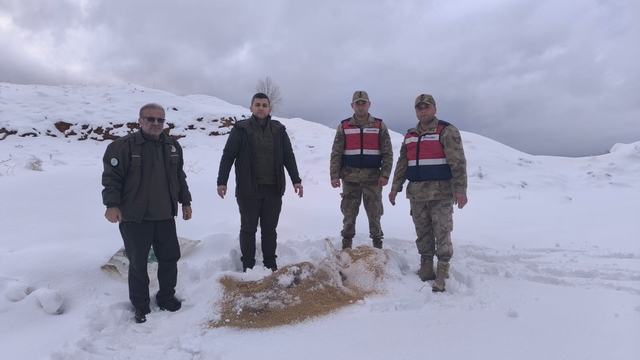 Siirt'te yaban hayvanlarına 750 kilo besi yemi bırakıldı