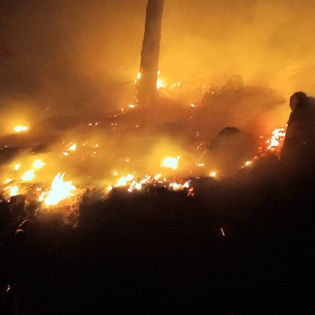 Bozyazı'da çıkan orman yangını kontrol altına alındı