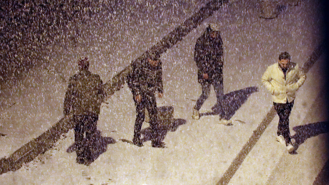 Van'da kar yağışı etkili oldu