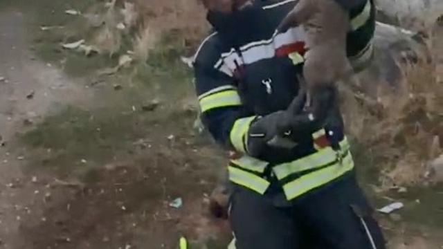 Elazığ'da yürek ısıtan kurtarma operasyonu
Kuyuya düşen yavru köpekler, itfaiye ekipleri tarafından kurtarıldı