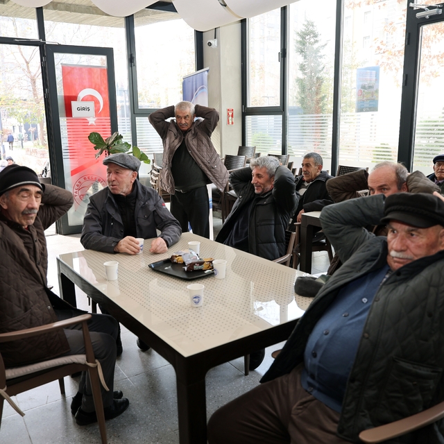 Talas'ın çınarları hayata hareket ediyor