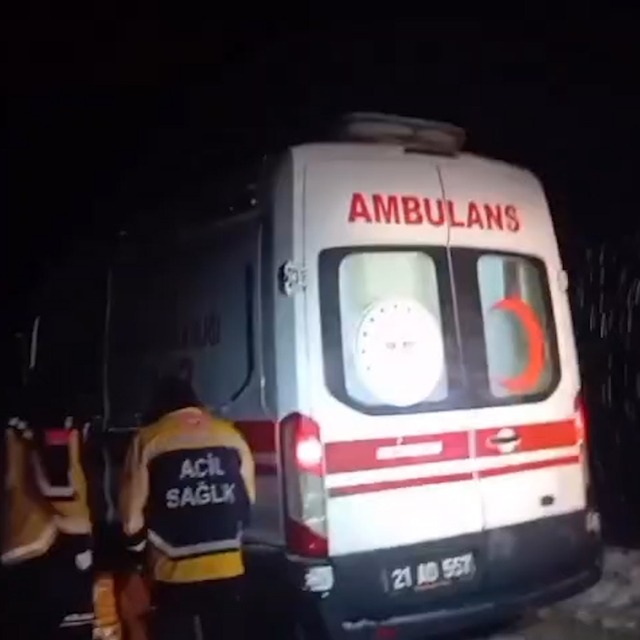 Diyarbakır'ın 4 ilçesinde kar yağışı etkili oldu