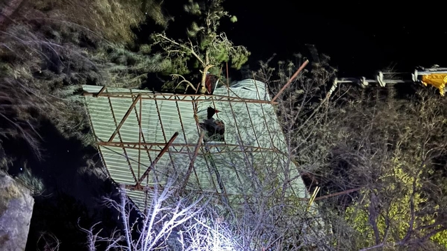 Mersin'de şiddetli rüzgar nedeniyle asırlık meşe devrildi, evin çatısı uçtu